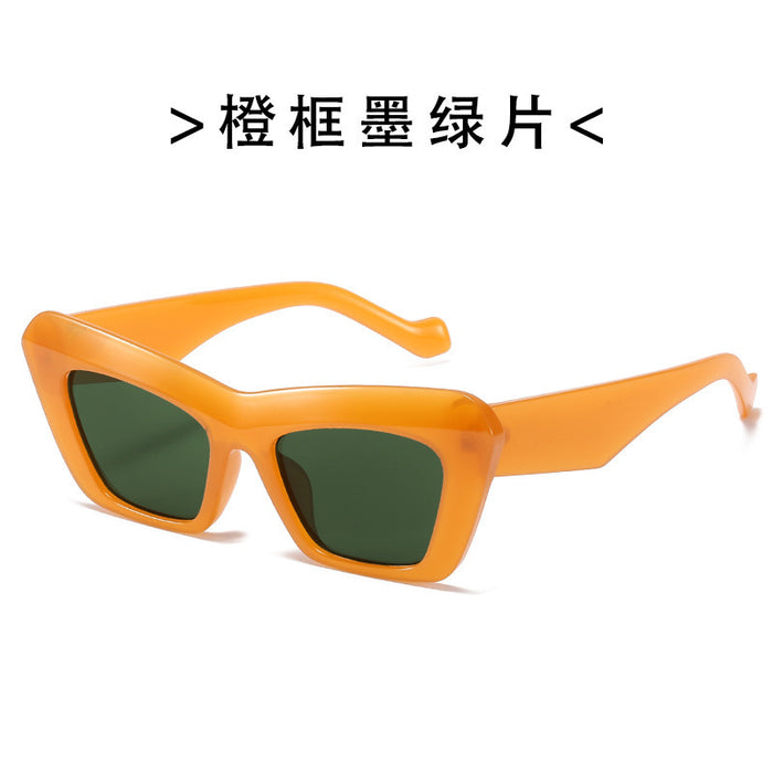 Wholesale sunglasses women's cat eye sunglasses women's fashionable outdoor glasses sunglasses