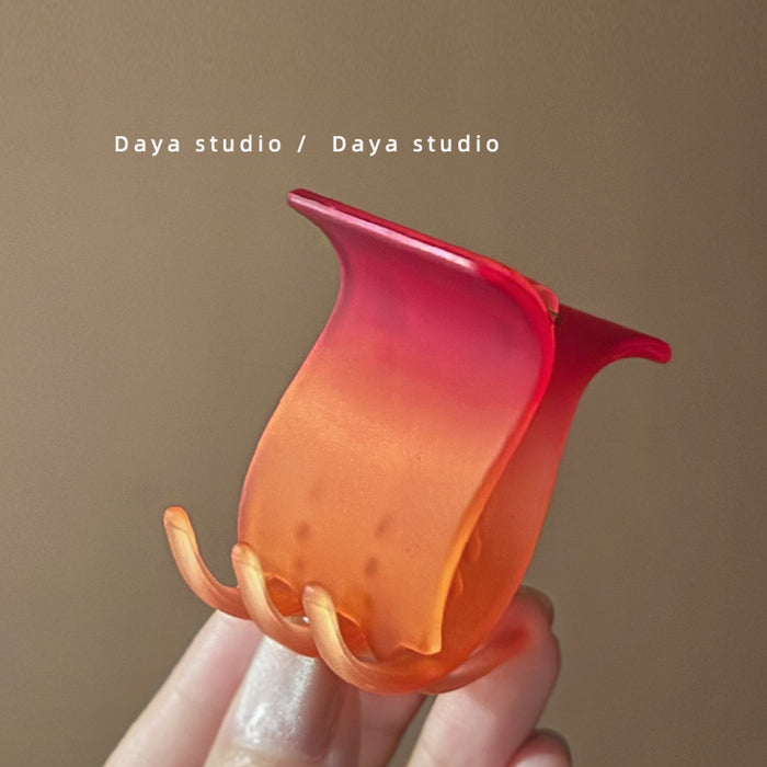 Wholesale Advanced matte gradient ponytail clip, niche temperament shark clip