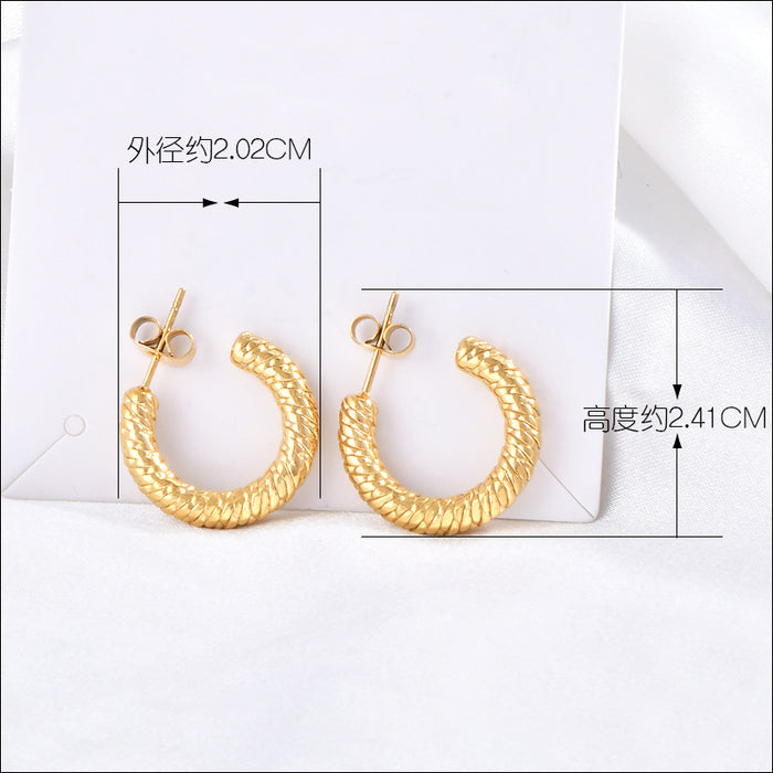Wholesale European-style retro titanium steel high-end sense of personality twist earrings