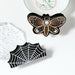 dxx-img:80888113c26b742f275405e7e642ba7a