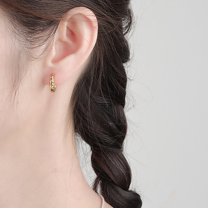 Wholesale Niche oval circle texture earrings, earrings, temperament earrings