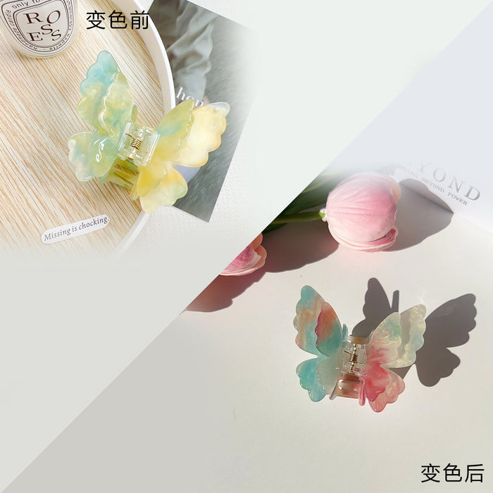 Wholesale Trendy Double-Layer Butterfly Hair Clip Acrylic Hair Accessory
