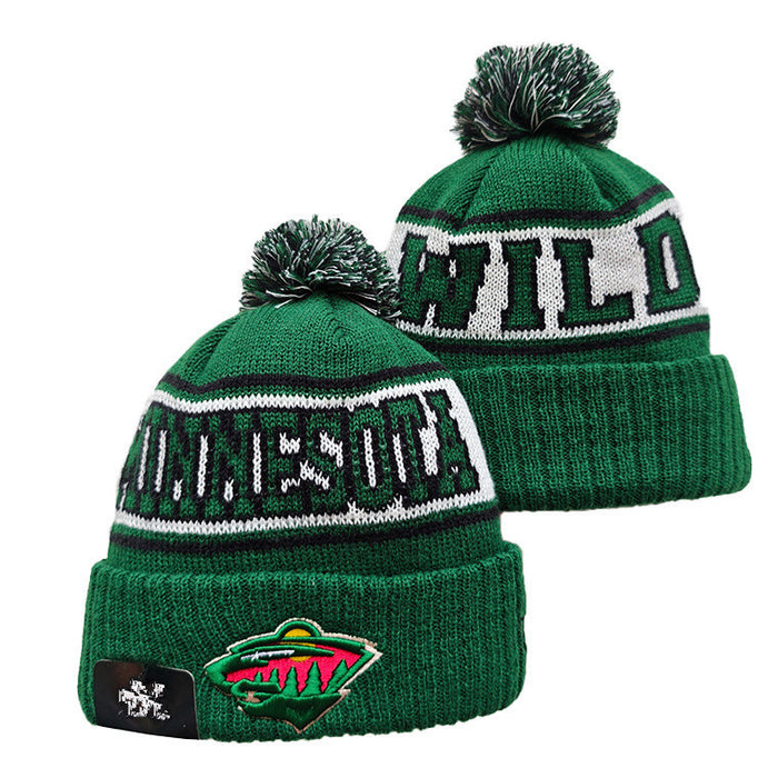 Wholesale Autumn and winter warm and cold-proof embroidered knitted fashionhat