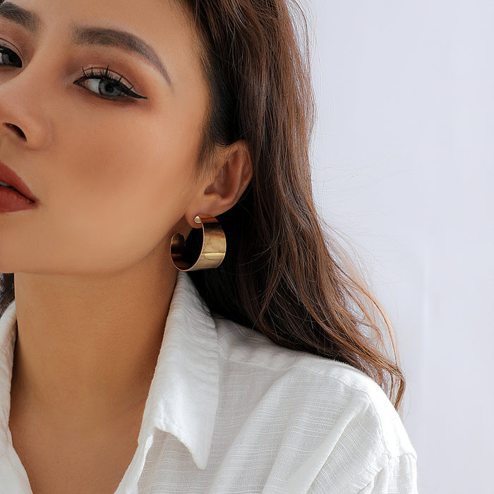 Wholesale Exaggerated punk metal earrings, personalized niche earrings, fashionable earring accessories