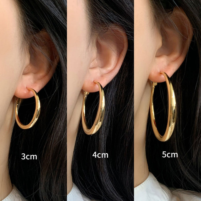 Wholesale Earrings Earrings Cold Style Elegant Elegant Earrings for Women Ins