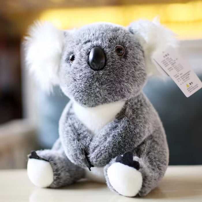 Wholesale Australian Koala Doll Koala Bear Plush Toy JDC-DO-MW016