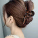 dxx-img:bee79aabee56b82a3d90596c351d9384