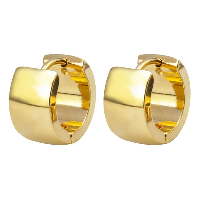 Wholesale Fashionable smooth titanium steel earrings and stainless steel accessories