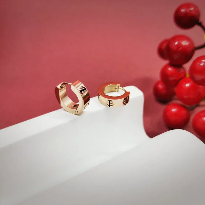 Wholesale High end temperament earrings, ear rings, and ear buckles