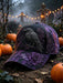 dxx-img:b9697b3fe1d48f6a807882e529b8ded9,JDC-FH-6277461298208-M1