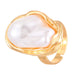dxx-img:e60622281bca24cc6db23b4f274e4394,JDC-JS-6098000640786-M1