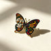 dxx-img:cd2125705d526f2e54ac60797777fccf