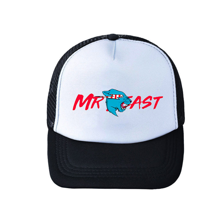 Wholesale Cute Cartoon Acrylic Baseball Cap JDC-FH-WuDM005