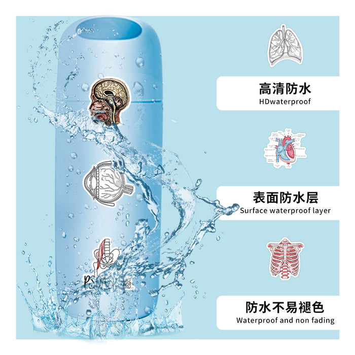 Wholesale Human Anatomy Stickers  Laboratory Neuron Graffiti Stickers