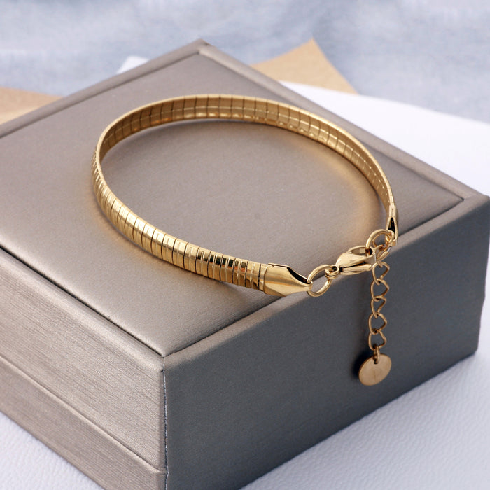 Wholesale Light Luxury Stainless Steel Bracelet — Snake Chain Style