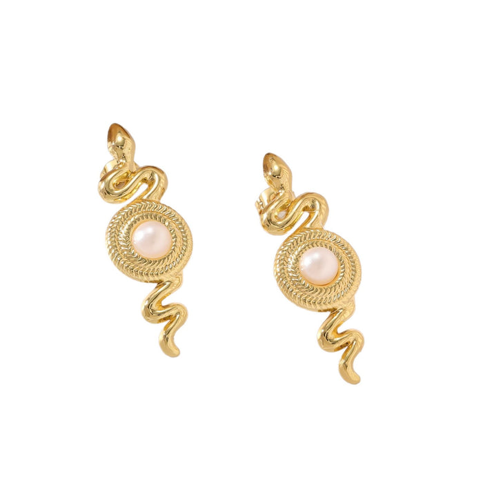 Wholesale Titanium steel snake-shaped earrings