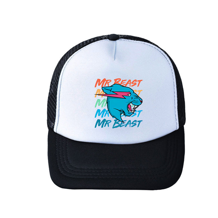 Wholesale Cute Cartoon Acrylic Baseball Cap JDC-FH-WuDM005