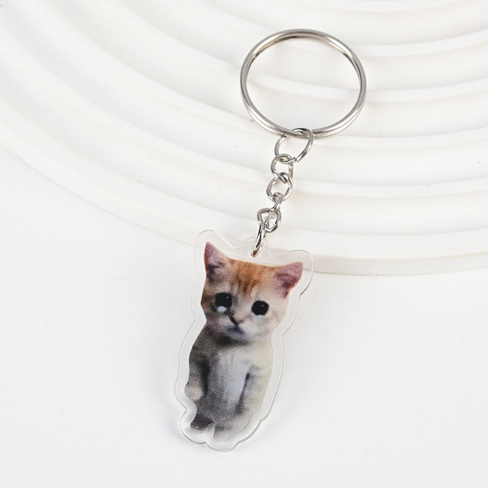 Wholesale Acrylic Cat Banana Cat Keychain JDC-KC-XBK001