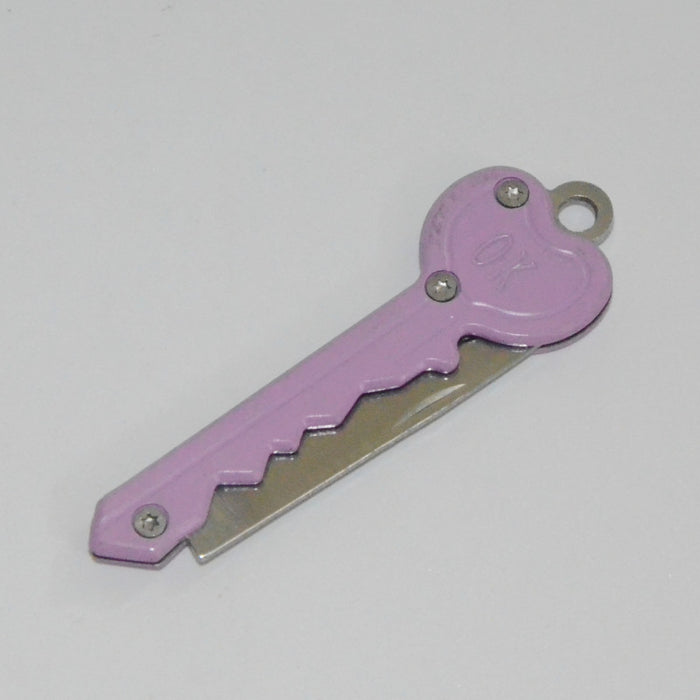 Wholesale Stainless Steel Fruit Knife Keychain JDC-KC-KB003