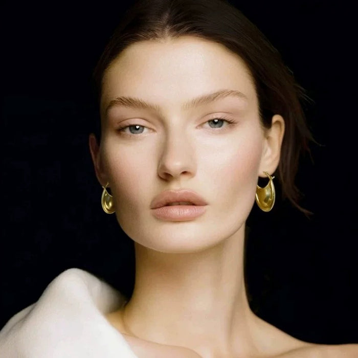 Wholesale Retro oval curved earrings, light luxury, niche fashion temperament, versatile earrings