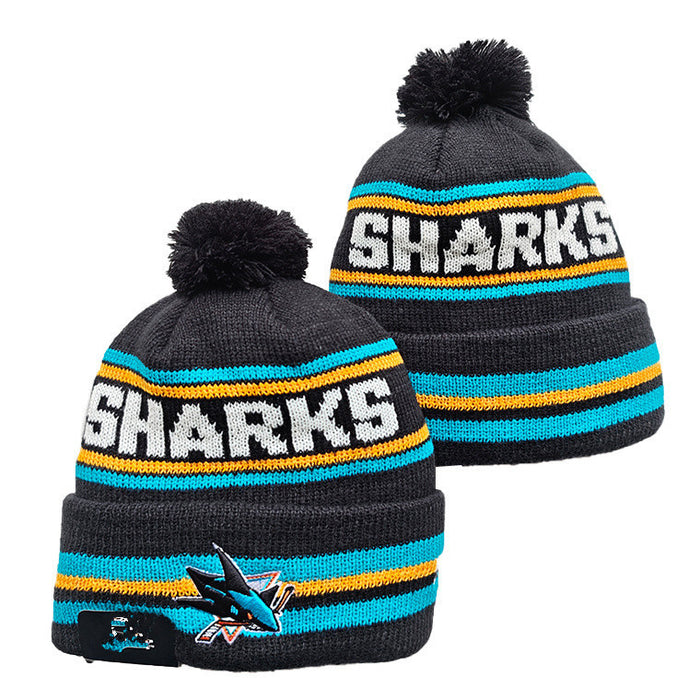 Wholesale Autumn and winter warm and cold-proof embroidered knitted fashionhat