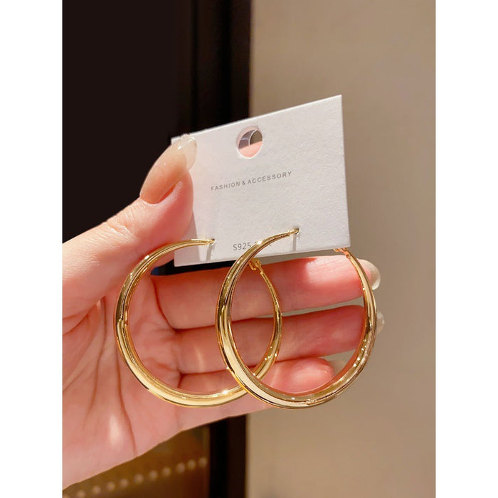 Wholesale Circle Earrings Women's Exaggerated Simple Cold Wind Earrings Niche