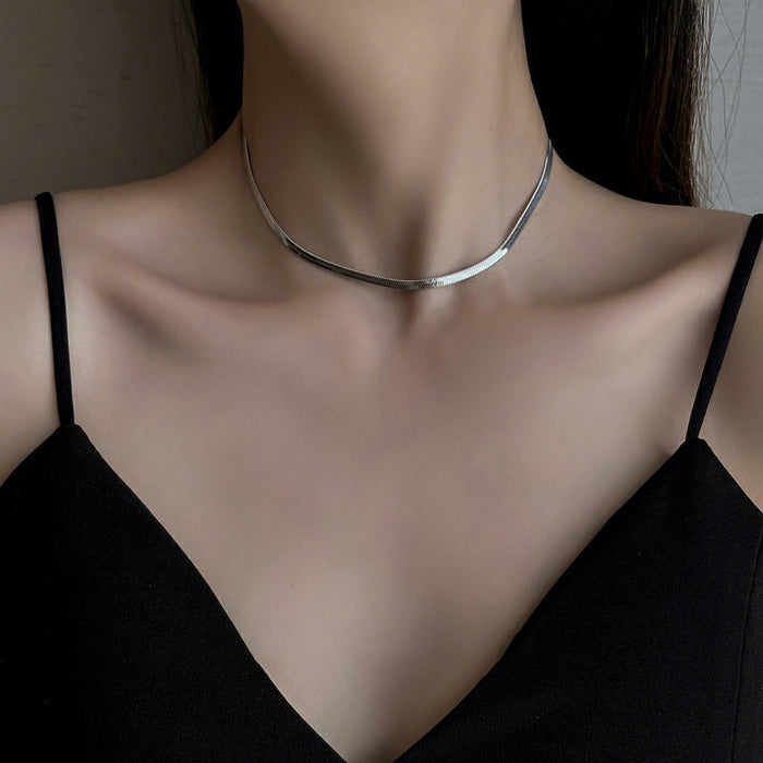 Wholesale Double layer titanium steel snake bone chain, niche silver necklace, high-end collarbone chain, versatile accessory