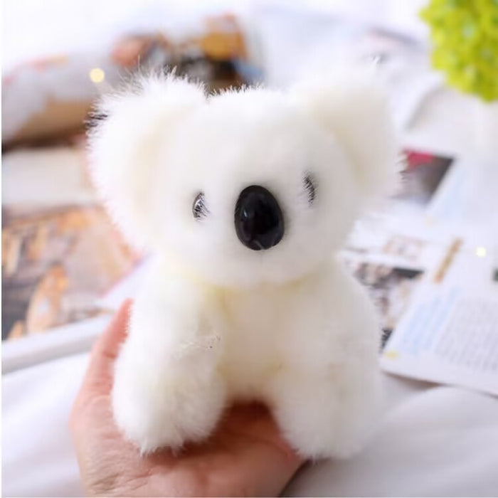 Wholesale Australian Koala Doll Koala Bear Plush Toy JDC-DO-MW016