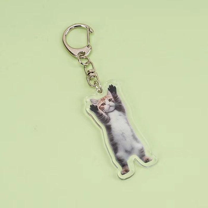 Wholesale Acrylic Banana Cat Cartoon Keychain JDC-KC-QiTong001