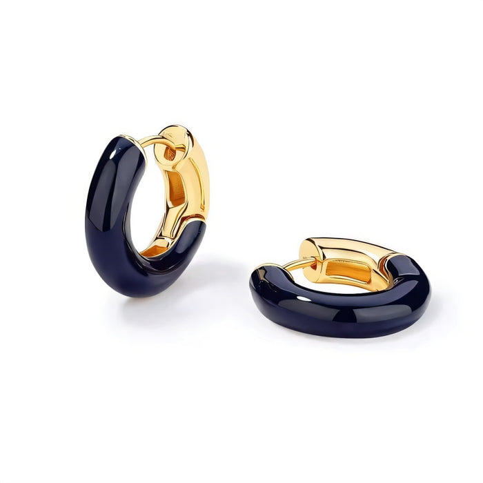 Wholesale  Earring Contrast Color Enamel Dropping Glaze Earrings Women's Elegant  Earrings