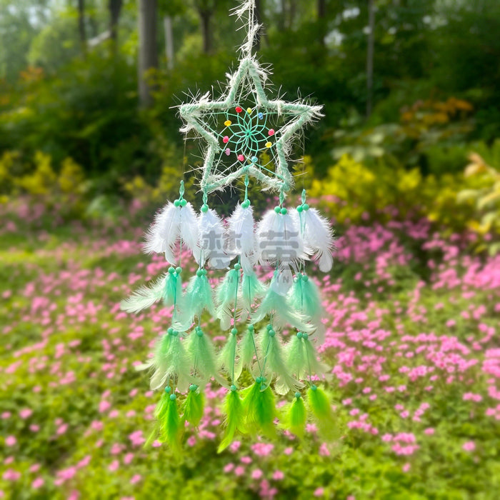 Wholesale Feather Dreamcatcher Wall Hanging Decorative Accent MOQ≥2