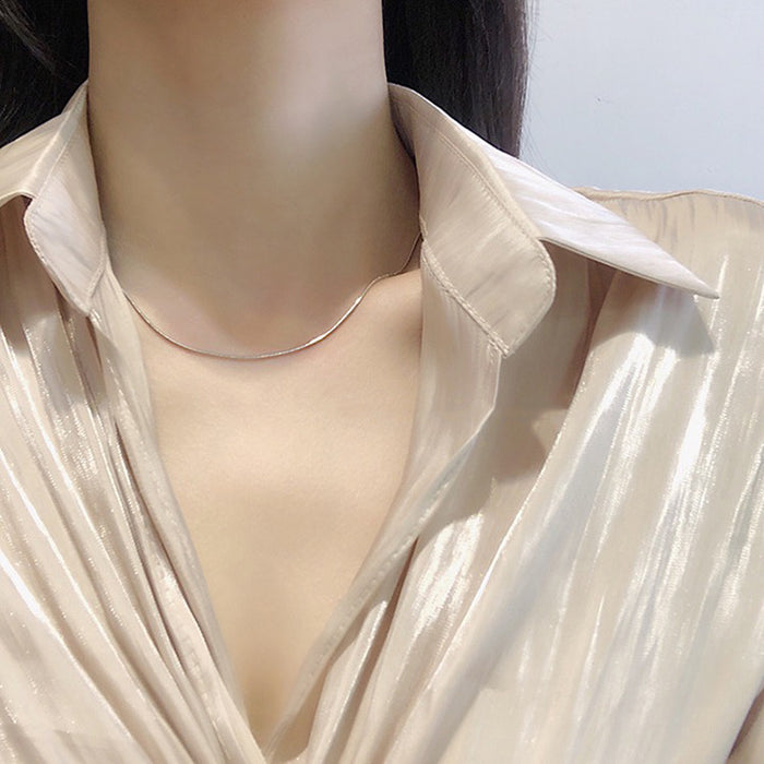 Wholesale Minimally designed snake bone chain, titanium steel necklace, plain chain, niche design, collarbone chain accessories