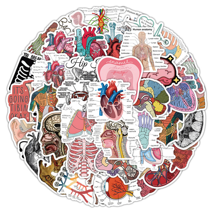 Wholesale Human Anatomy Stickers  Laboratory Neuron Graffiti Stickers