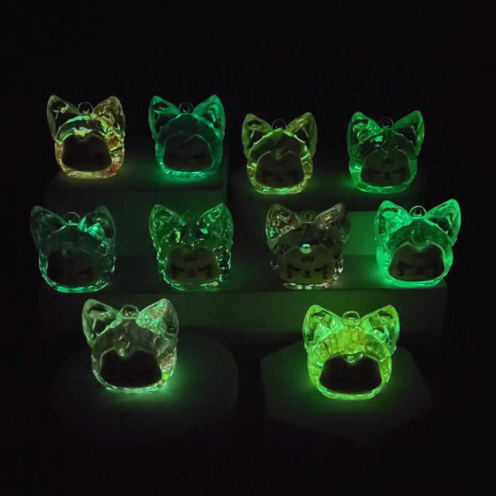 Wholesale Acrylic Oil-in-the-Box Luminous Bubble Beads Fox Keychain Desktop Ornaments