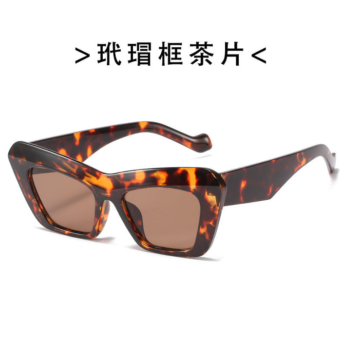 Wholesale sunglasses women's cat eye sunglasses women's fashionable outdoor glasses sunglasses