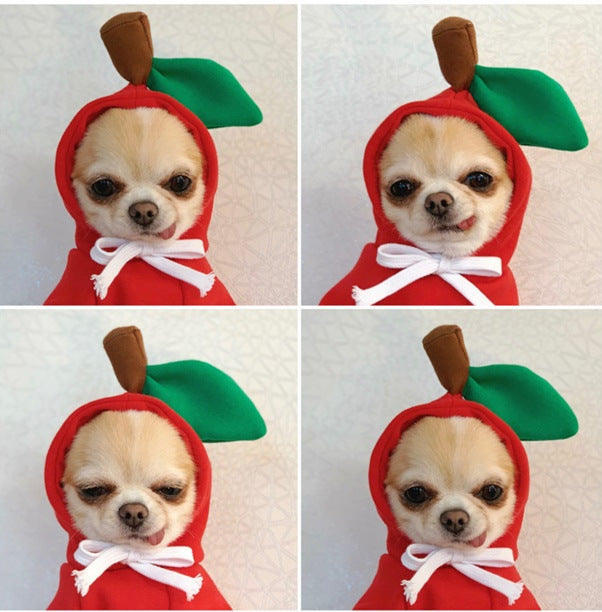 Wholesale Dog Clothes Transformed into Dog and Cat Clothes for Small and Medium-Sized Dogs Pet Supplies,   French Bulldog Cat Clothing