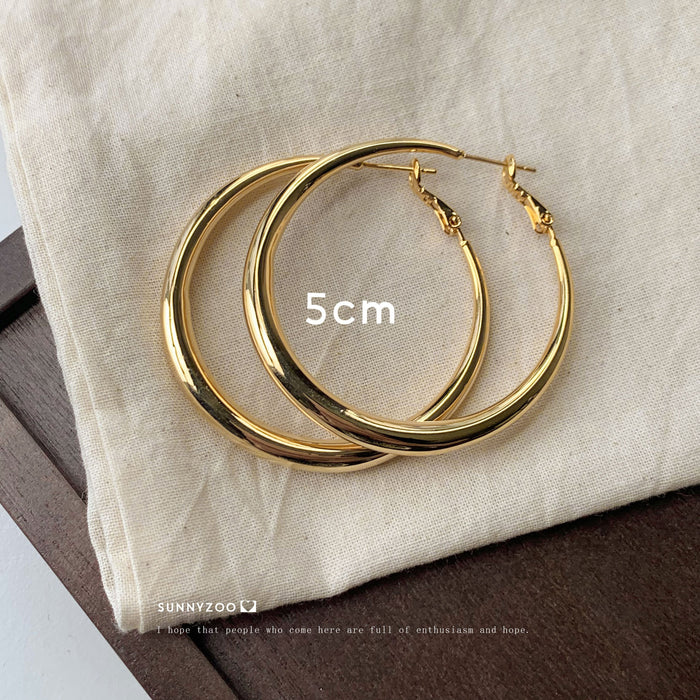 Wholesale Earrings Earrings Cold Style Elegant Elegant Earrings for Women Ins