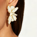 dxx-img:2b49b4cdd0697dd3ba7055fb4b90c548