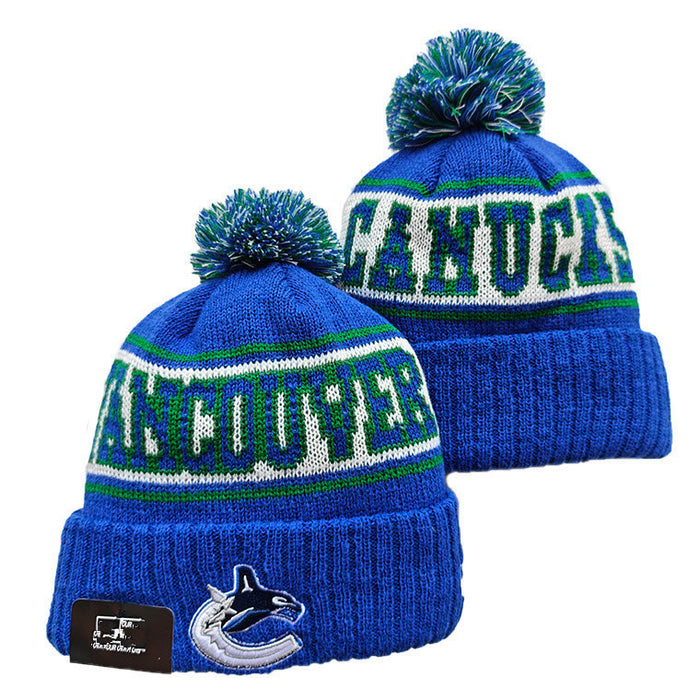 Wholesale Autumn and winter warm and cold-proof embroidered knitted fashionhat