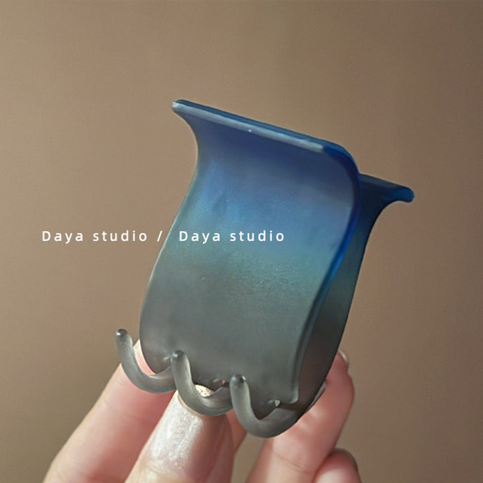 Wholesale Advanced matte gradient ponytail clip, niche temperament shark clip