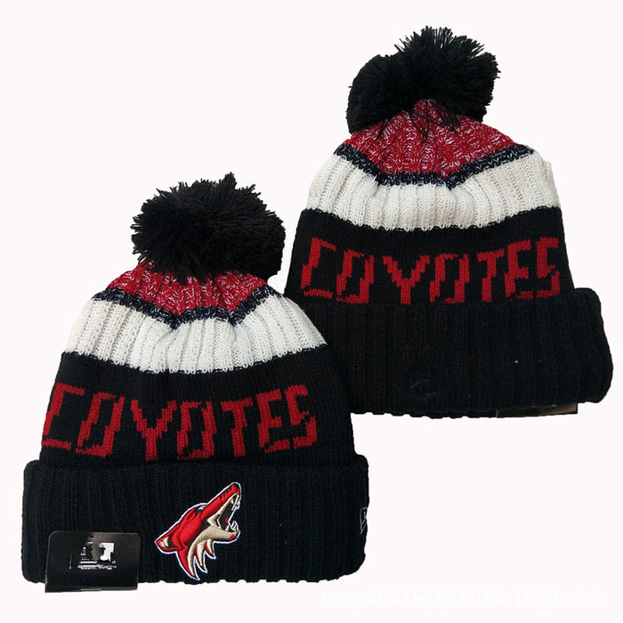 Wholesale Autumn and winter warm and cold-proof embroidered knitted fashionhat