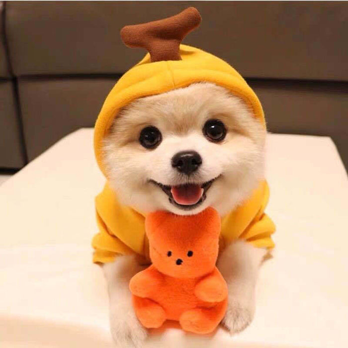 Wholesale Dog Clothes Transformed into Dog and Cat Clothes for Small and Medium-Sized Dogs Pet Supplies,   French Bulldog Cat Clothing