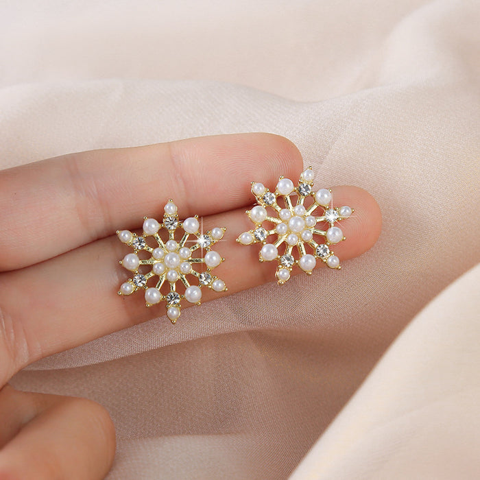 Wholesale Silver needle temperament snowflake earrings earrings, niche high-end earrings