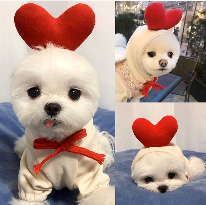 Wholesale Dog Clothes Transformed into Dog and Cat Clothes for Small and Medium-Sized Dogs Pet Supplies,   French Bulldog Cat Clothing