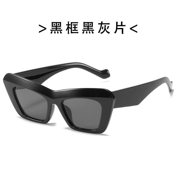 Wholesale sunglasses women's cat eye sunglasses women's fashionable outdoor glasses sunglasses