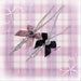 dxx-img:ba52dc1d9a0c4d2fe5e408230afb2d0d