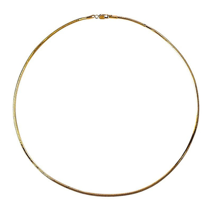 Wholesale Titanium steel bone chain, versatile for men and women, basic style, layered collarbone chain, thick and thin, men's style