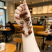 dxx-img:facd0024fe073982b9b44377beb7ee89,JDC-KC-6247390222949-M2