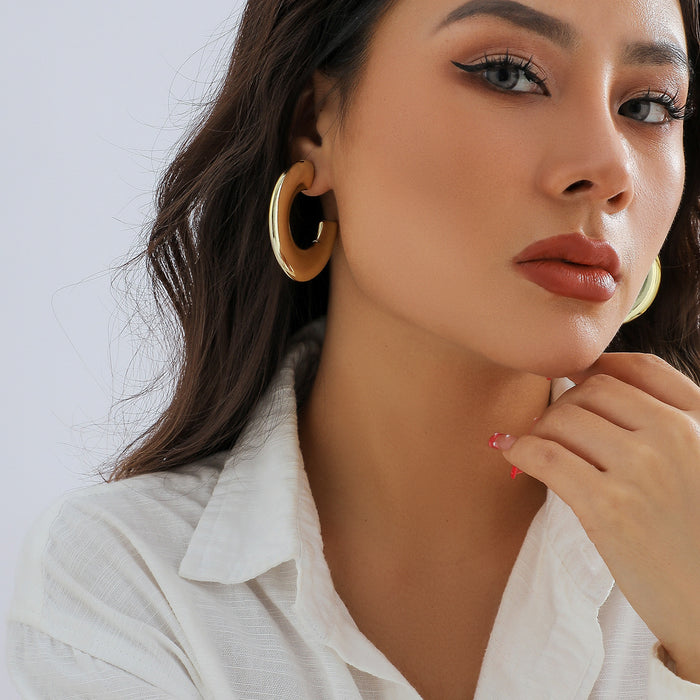 Wholesale Exaggerated punk metal earrings, personalized niche earrings, fashionable earring accessories