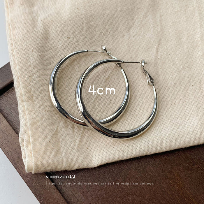 Wholesale Earrings Earrings Cold Style Elegant Elegant Earrings for Women Ins